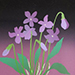 Hiroshi Kubota Gallery